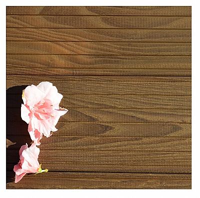 ΣΑΝΙΔΑ ΠΑΤΩΜΑΤΟΣ THERMO ASH ΑΥΛΑΚΩΤΟ