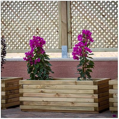 ΞΥΛΙΝΗ ΓΛΑΣΤΡΑ ΠΑΡΑΛΛΗΛΟΓΡΑΜΜΗ