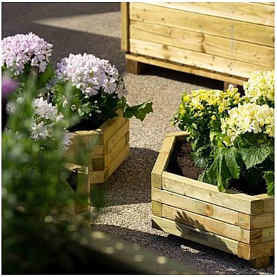 ΞΥΛΙΝΗ ΓΛΑΣΤΡΑ ΕΞΑΓΩΝΗ ΧΑΜΗΛΗ