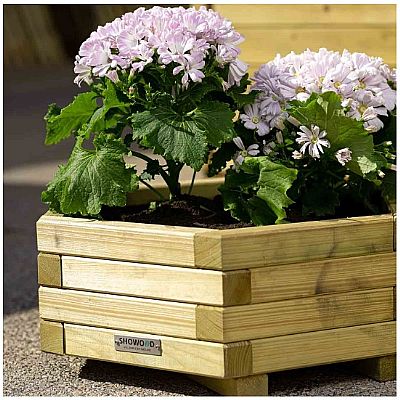 ΞΥΛΙΝΗ ΓΛΑΣΤΡΑ ΕΞΑΓΩΝΗ ΧΑΜΗΛΗ