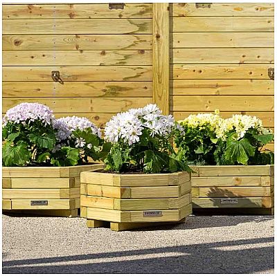 ΞΥΛΙΝΗ ΓΛΑΣΤΡΑ ΕΞΑΓΩΝΗ ΧΑΜΗΛΗ