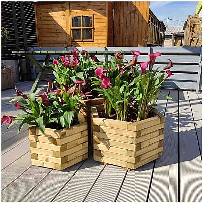 ΞΥΛΙΝΗ ΓΛΑΣΤΡΑ ΕΞΑΓΩΝΗ