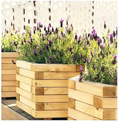 ΞΥΛΙΝΗ ΓΛΑΣΤΡΑ ΕΞΑΓΩΝΗ