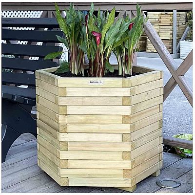 ΞΥΛΙΝΗ ΓΛΑΣΤΡΑ ΕΞΑΓΩΝΗ 56(Υ) X Φ65ΕΚ.