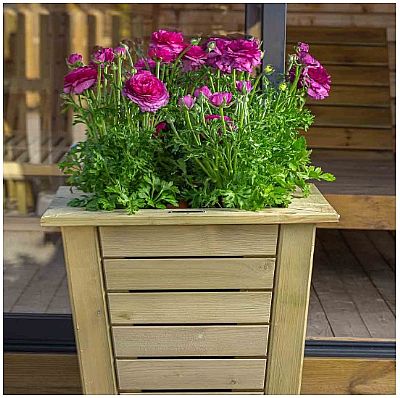  ΞΥΛΙΝΗ ΓΛΑΣΤΡΑ ΚΩΝΙΚΗ 