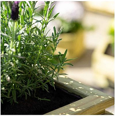 ΞΥΛΙΝΗ ΓΛΑΣΤΡΑ ΤΕΤΡΑΓΩΝΗ ΜΕ ΠΗΧΑΚΙΑ 