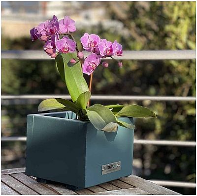 ΓΛΑΣΤΡΑΚΙ ΚΑΣΠΩ ΠΡΑΣΙΝΟ 