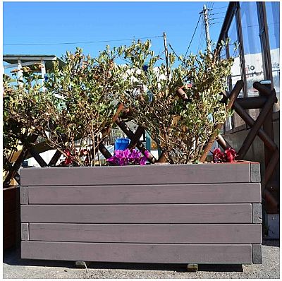 ΞΥΛΙΝΗ ΓΛΑΣΤΡΑ ΑΠΟ ΔΟΚΟ 4,5 X 9,5ΕΚ. 