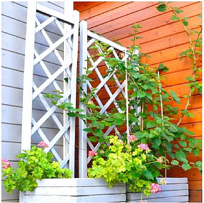 ΚΑΦΑΣΩΤΟ ΞΥΛΙΝΗΣ ΓΛΑΣΤΡΑΣ 120(Υ) X 70ΕΚ.